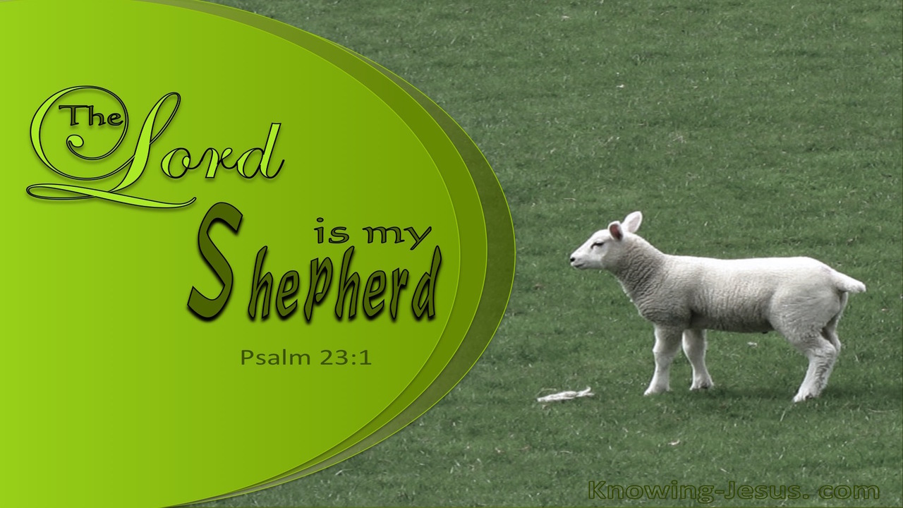 Psalm 23:1 The Lord Is My Shepherd (white)
